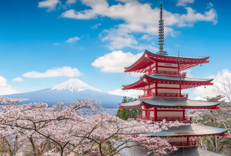 para nitro toluene sulfonic acid in Japan