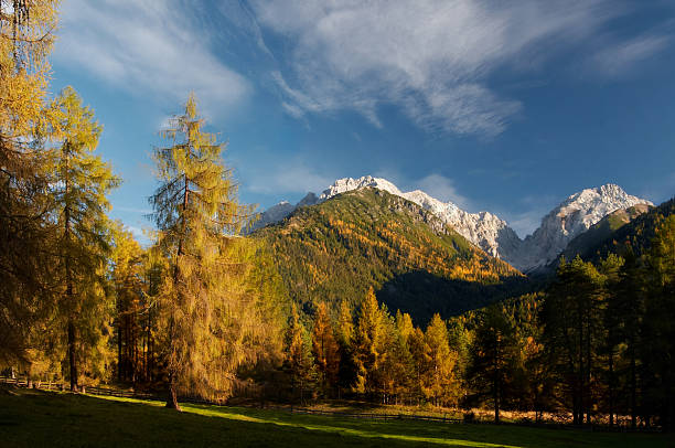 para nitro toluene sulfonic acid in Spain